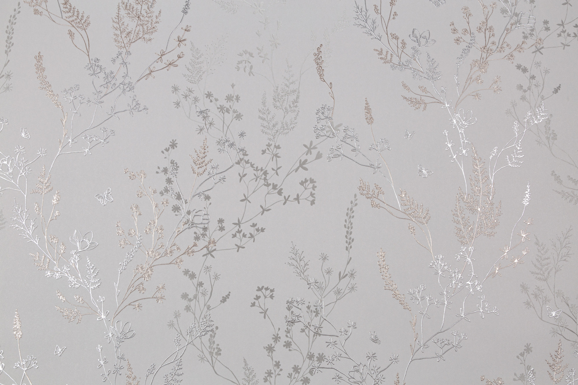 dtl